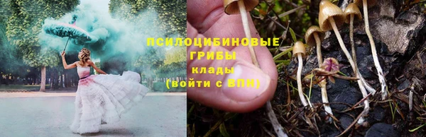 дмт Нефтегорск