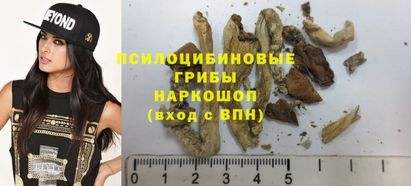 дмт Нефтегорск