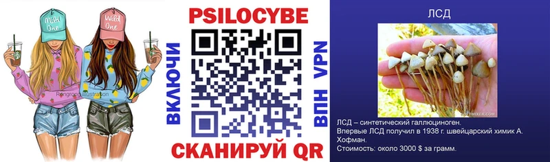 хочу   Звенигород  Псилоцибиновые грибы ЛСД 