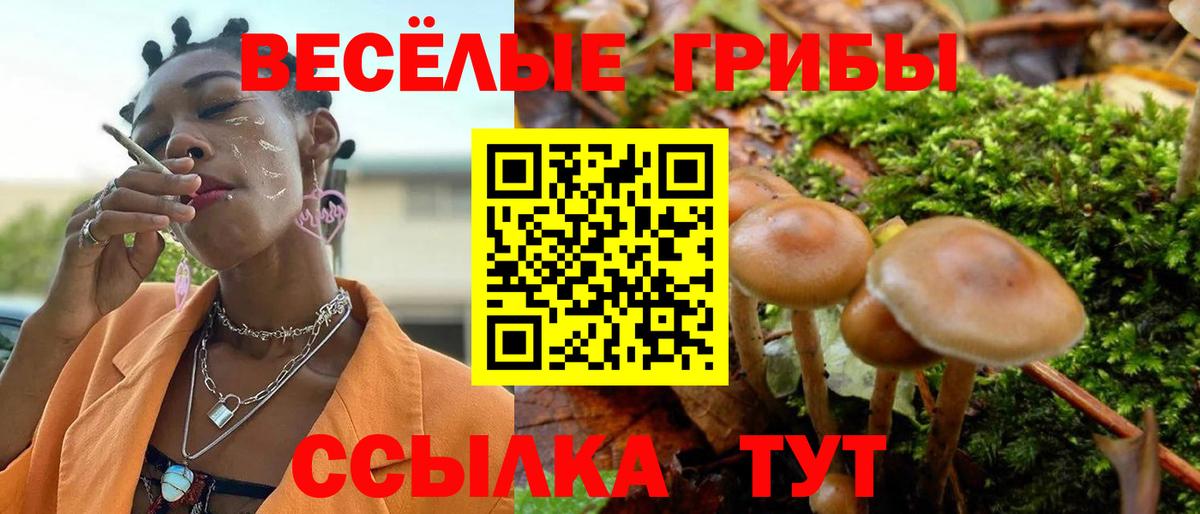 Галлюциногенные грибы Magic Shrooms  Псилоцибиновые грибы прущие грибы  Вход с VPN  Звенигород 