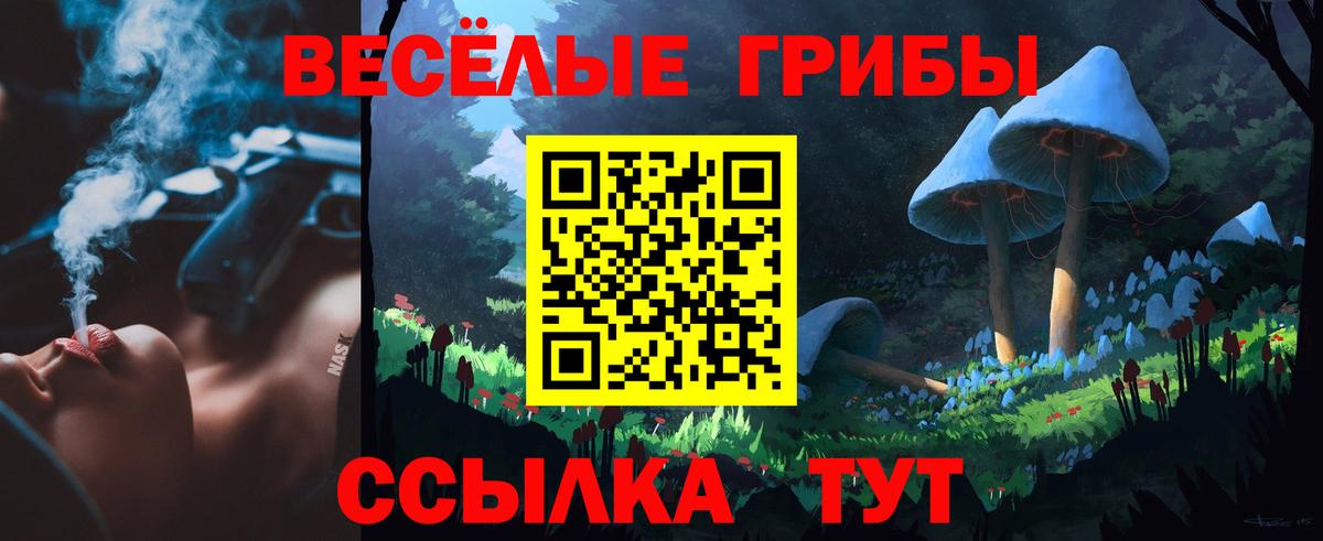 Галлюциногенные грибы Cubensis Звенигород