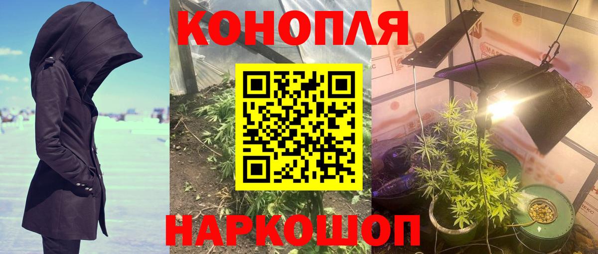 Каннабис Amnesia  Звенигород  Конопля AK-47  Конопля Ganja 